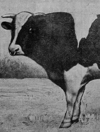 Timeline photo for 1882