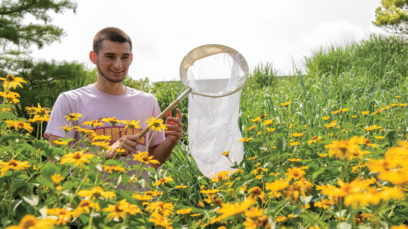 MHS student catching butterflies