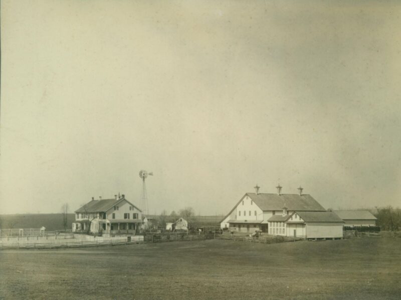 homestead as a farm