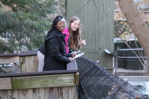 MHS students created enrichment activities for animals