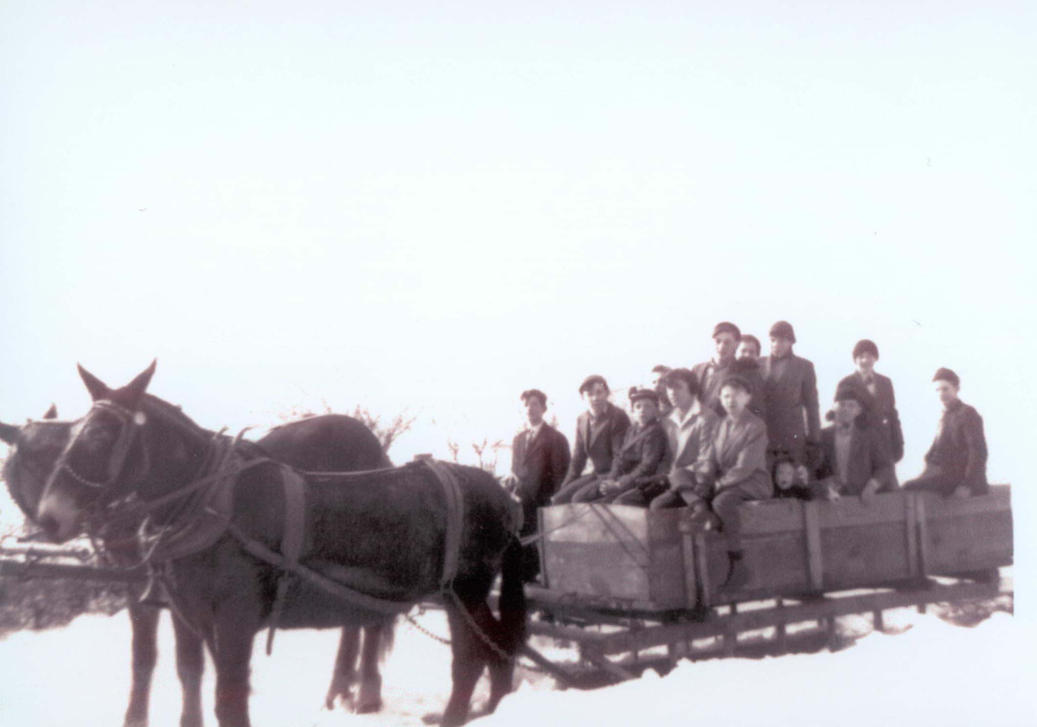 Sleigh riding during the winter