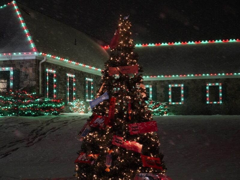 2025 MHS Pete Lights