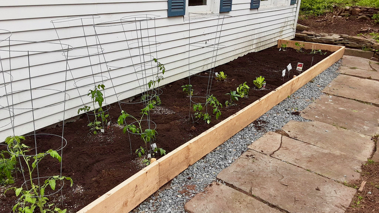This tidy vegetable garden was built by Patrick Stevens (MHS Class of 2021) at his home in New York during our period of online schooling.