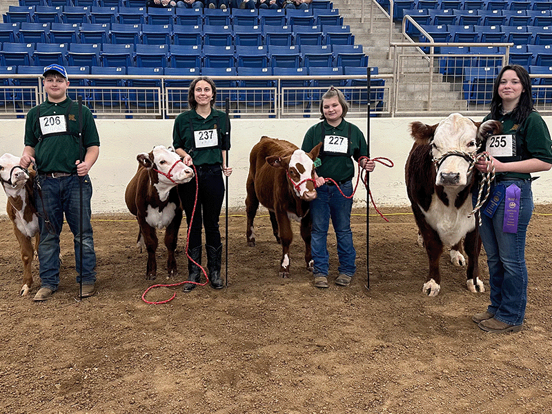 Milton Hershey School students stand with their cows after placing in the 2023 Pennsylvania Farm Show.