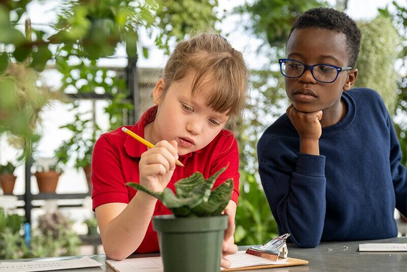 Elementary students in green house.