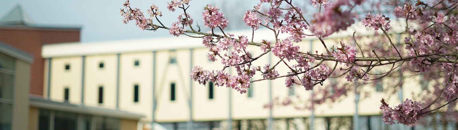 Milton Hershey School campus in Spring.