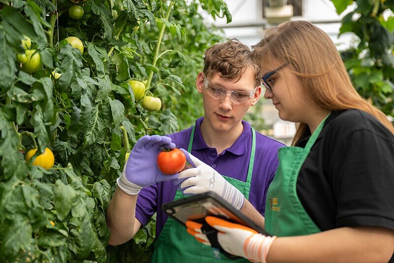 High school students in greenhouse