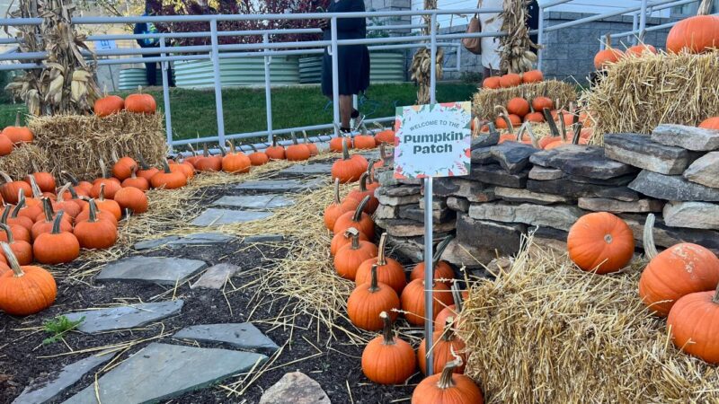 Milton Hershey School Project Market Hosts Fall Frolic Event During Family Weekend